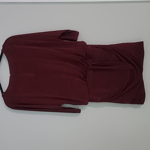 WHBM Metallic Ruby 3/4 Dolan Sleeve Dress - Picture 3 of 16